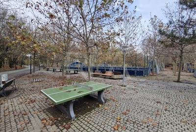 Apartament cu 2 camere la 12 minute de metrourile Dristor 1 si Grigorescu - 33