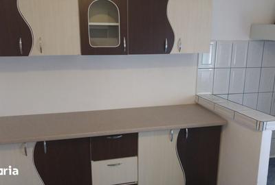 Apartament cu 2 camere semidecomandat în Broșteni - 6