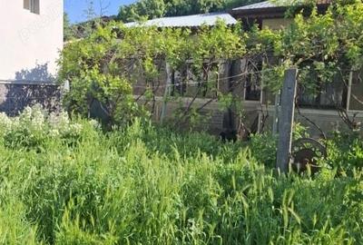 Bucurestii Noi Vând casa bătrânească 3 cam  toate utilitățile curte proprie 140m - 1