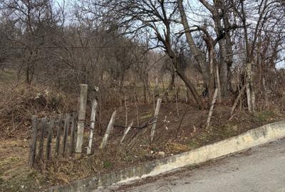 Spațiu comercial, în Central - 3