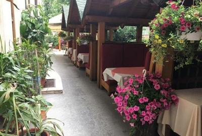 Zona Pta Victoriei, Hotel 4 stele, cu restaurant si crama - 19