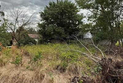 Casă cu Teren 943 Mp în Vâlcelele - 1