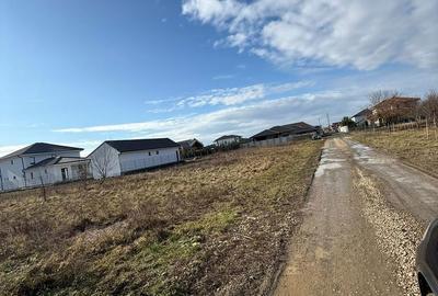 Teren de 734 mp, în Păulești - 4