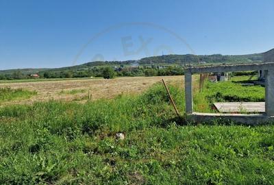 TEREN STEFANESTI! - 4