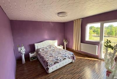 Proprietar vand casa Vladimirescu - 1