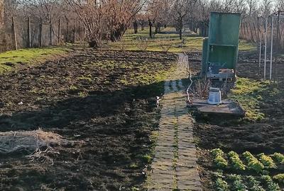 Casă cu Teren 3000 Mp în Central - 3