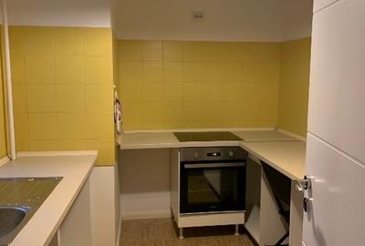 Apartament 2 cam. de inchiriat, vila noua, zona Piata Unirii - 11