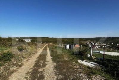 Teren, 2100mp , zona Podgoria langa Hanul Pescarilor - 1
