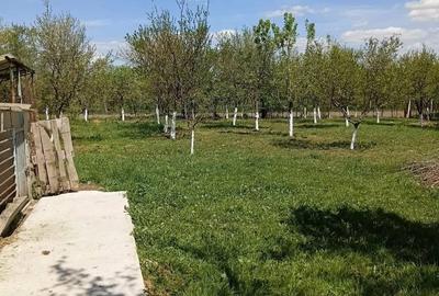 Casă cu 4 camere în Brestovăț - 4