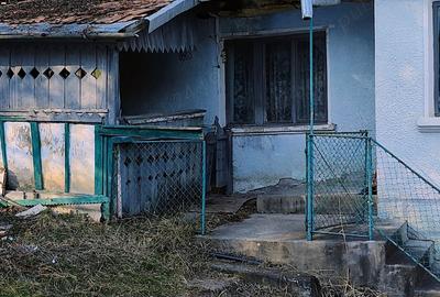 De vinzare casa la tara sat Jichisul de sus - 3