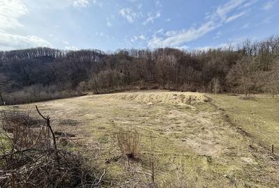 Spațiu comercial, în Păușești - 5