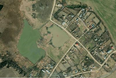 Teren de 131000 mp, în Piersica - 2