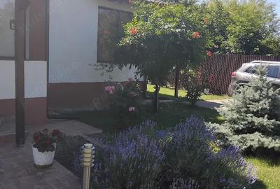 Casă cu Teren 1989 Mp în Ciritei - 4