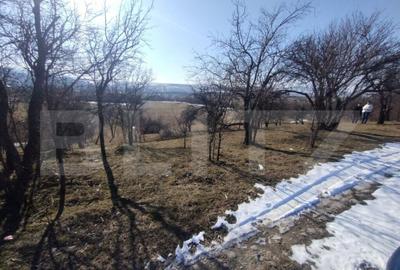 Teren extravilan de vanzare, 25 ari, zona Rusul Bargaului - 2