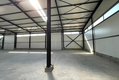 Hala NOUA pentru productie, depozitare, birouri, 598 mp, Inel II - 7
