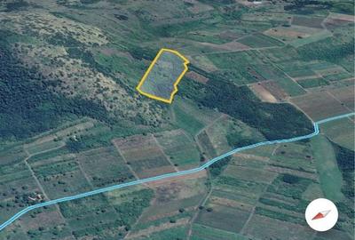 Spațiu comercial, în Șiria - 5