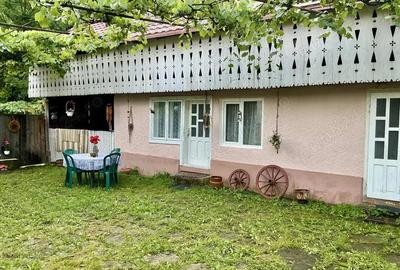 Casa de vacanta de vanzare - 9