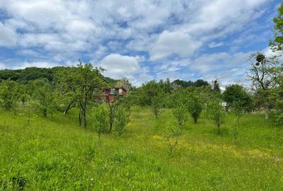 Teren de 4200 mp, în Ocina de Sus - 10