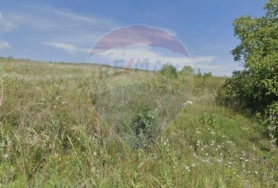 Teren agricol intravilan de 2556 mp, în Pădureni (Chinteni) - 2