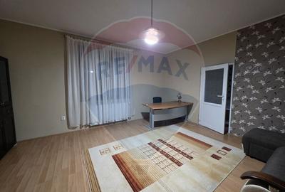 Inchiriere casa cu terasa si curte zona Piata Mica Spitalul Judetean - 9