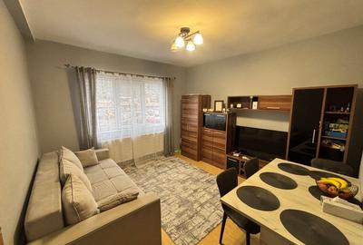 Apartament cu 2 camere decomandat, mobilat în Valea Borcutului - 2