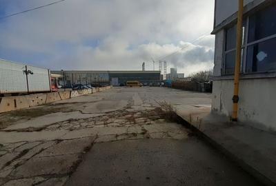 Hala 430 mp in zona Fizicienilor + platforme betonate sau birouri - 4