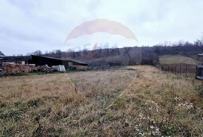 Casă cu 2 camere cu Teren 2443 Mp în Hidiș - 4