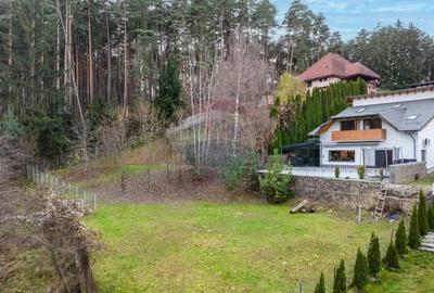 Vila moderna cu vedere spre padure Poiana Angelescu - 12