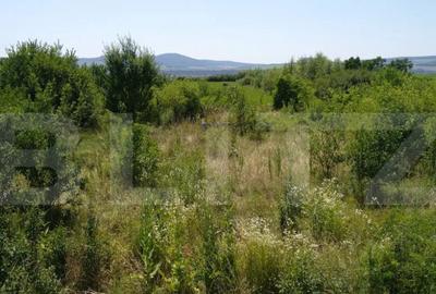 Teren de 7000 mp, în Central