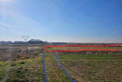 Teren de 8000 mp, în Șimnicu de Sus - 3