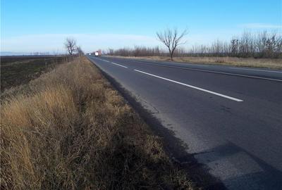 Teren de 5000 mp, în Cotorca - 6