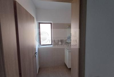 Casă 4 camere - 115 mp, cu teren 100 mp - Valea Adanca-850 Euro - 24