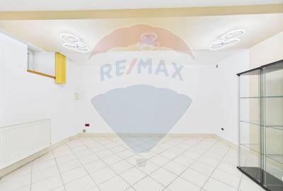 Apartament in vila de inchiriat in zona Kiseleff - 22