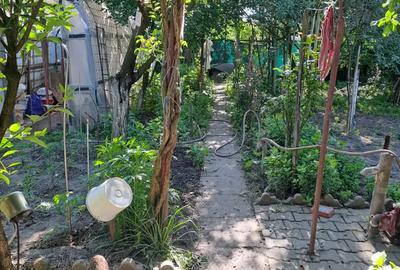 Proprietar vand 2 case in aceeasi curte Proprietar vand 2 case in aceeasi curte - 2