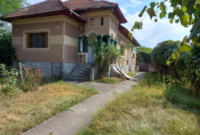 (101) Teren cu casa, pentru afaceri / Direct proprietar - 3