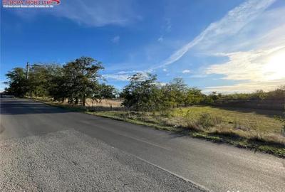 Teren în Somova - 1