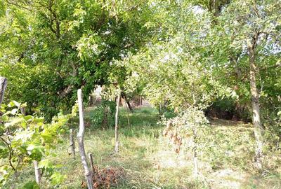 Casă individuală cu 6 camere cu Teren 1151 Mp în Ciuchici - 16