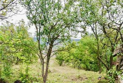 Spațiu comercial, în Dâmbul Rotund