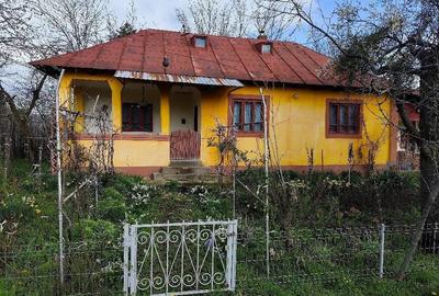 Casă cu 3 camere cu Teren 6100 Mp în Constantinești - 3