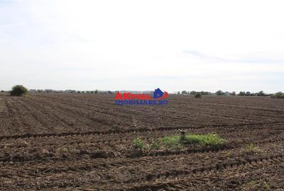 Teren de vanzare Balotesti -16.300mp-Stradal -Residentiale sau Comercial-cu toat - 2