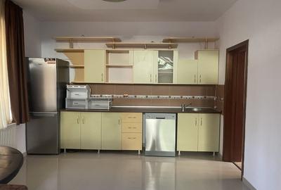 Vila individuala 7 camere de vanzare/inchiriere Iancu Nicolae - 8