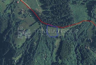 Platou montan, 6631 mp intravilan, electricitate,  langa pădure - 7