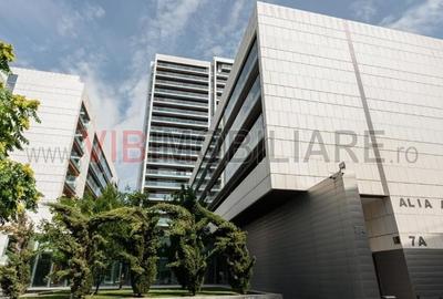 2 Camere - Kiseleff - Arcul de Triumf - Parcare 2 Camere - Kiseleff - Arcul de Triumf - Parcare - 1