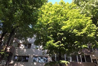 Apartament cu 2 camere decomandat în Cotroceni - 7