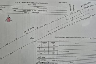 Teren de 7166 mp, în Rugi - 1