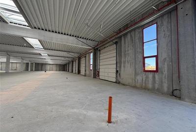 Inchiriere depozit/spatiu industrial/hala Chitila - Rudeni, ILFOV - 7