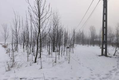 Casă cu 3 camere cu Teren 5000 Mp în Negostina - 3