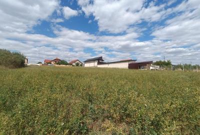 Teren Construcții intravilan de 2000 mp, în Zădăreni - 14