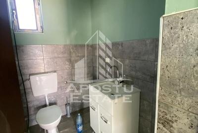 Hala noua de inchiriat 550 mp, birouri, parcare, Sacalaz. - 11