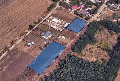 Teren intravilan Fundulea - 4